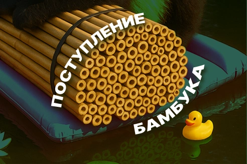 Бамбук из Китая - ЛУЧШИЙ СОРТ! 